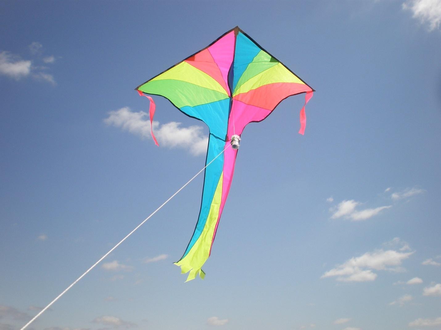 kite